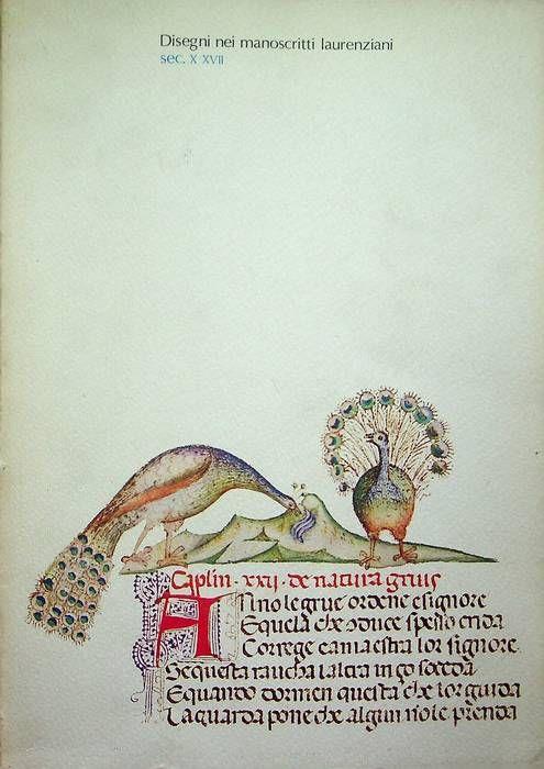 Disegni nei manoscritti laurenziani sec. X-XVII - Francesco Gurrieri - copertina