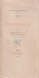 Conchiglie