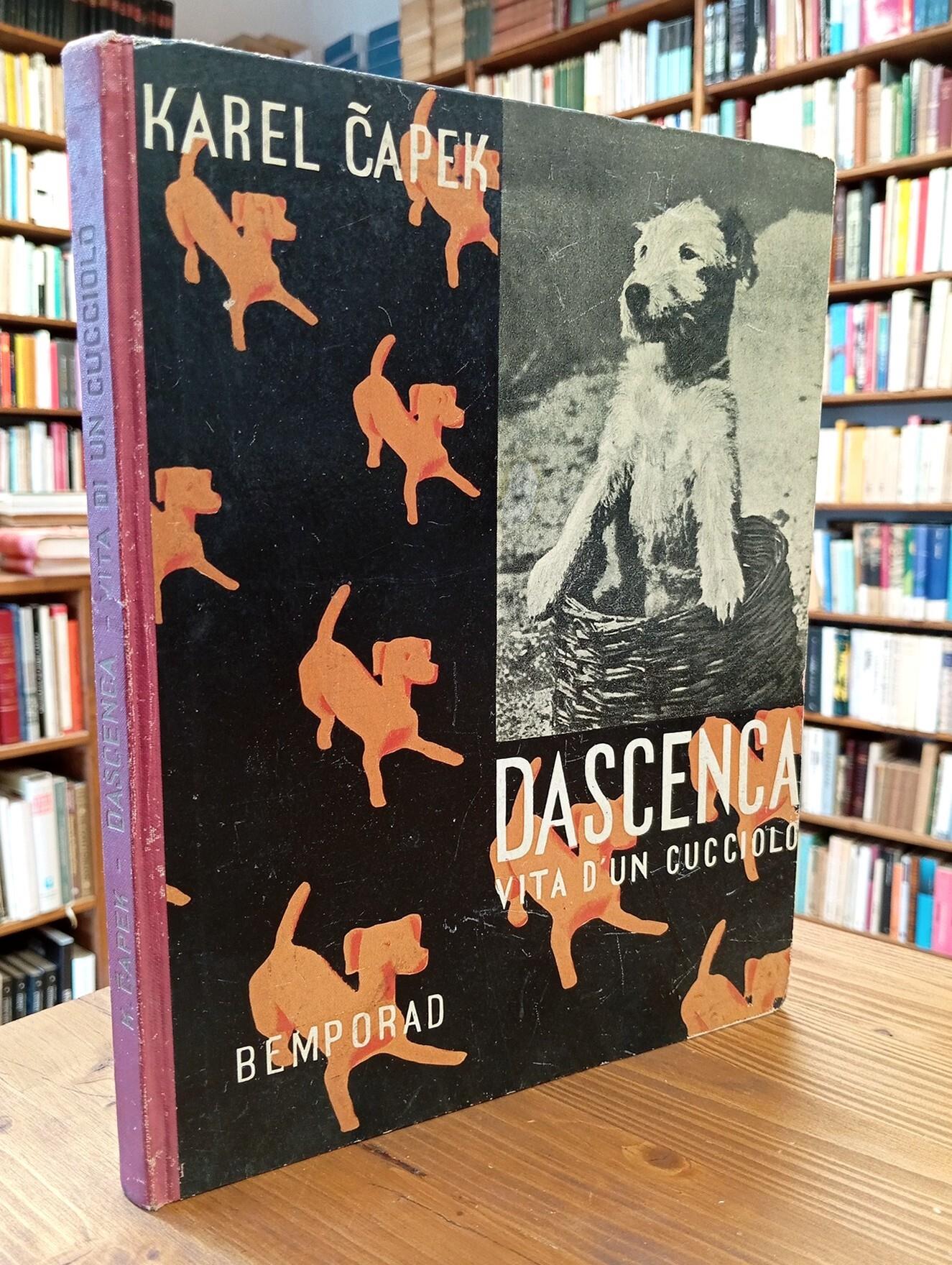 Dascenca Via D'un Cucciolo