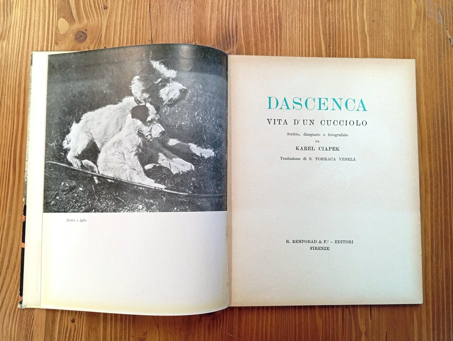 Dascenca Via D'un Cucciolo