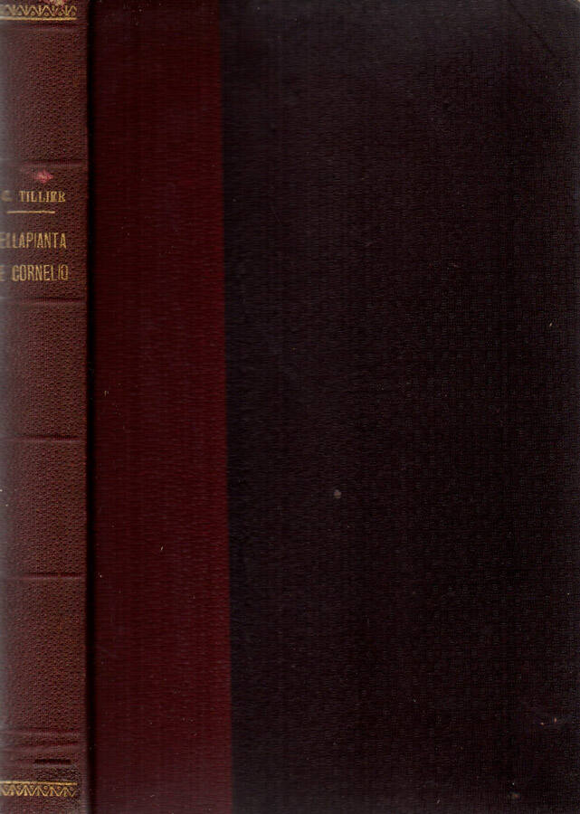 Biblioteca di Babele