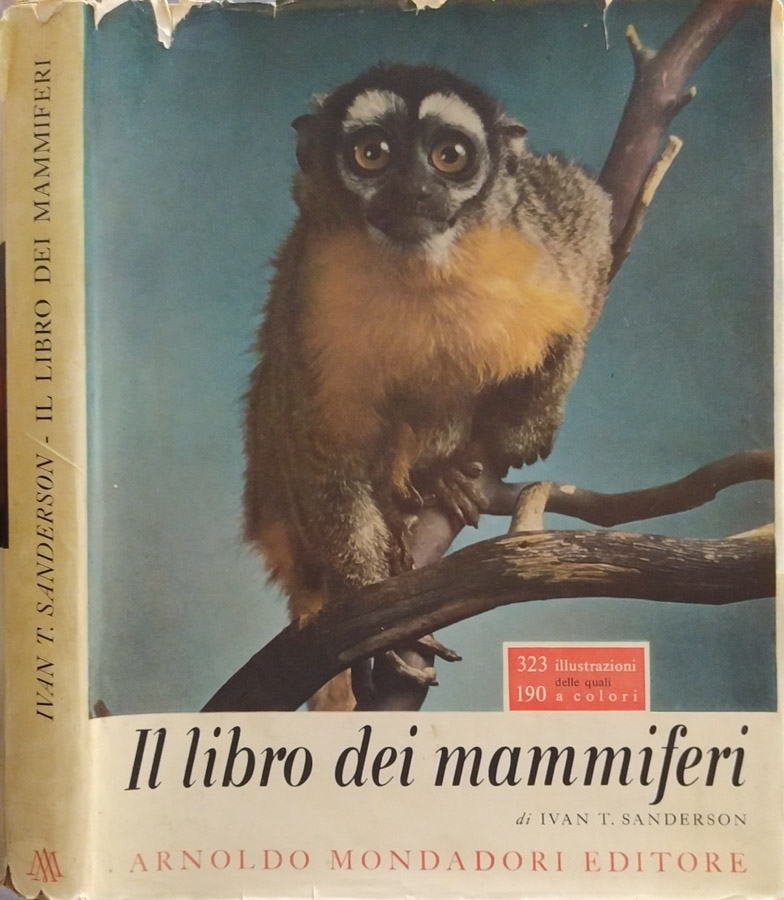 Biblioteca di Babele