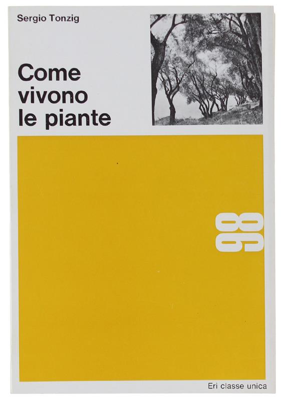 Bergoglio Libri d'Epoca Snc