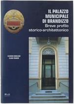 Il Palazzo Municipale Di Brandizzo. Breve Profilo Storico-Architettonico