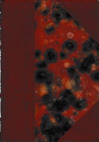 ŒUVRES COMPLÈTES - vol. III - Contes - Polyphène - Poèmes inachevés - Albert Samain - copertina