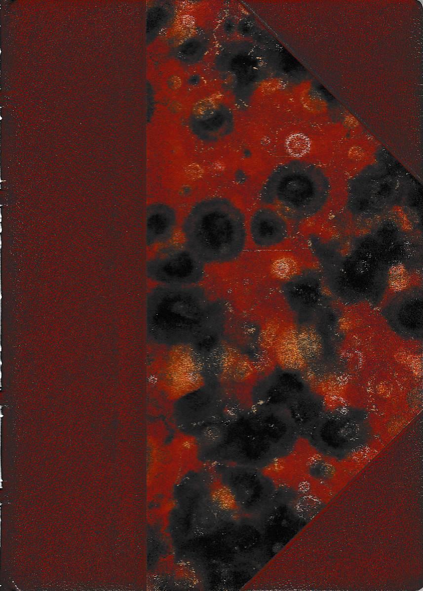 Laboratorio del libro