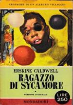 Ragazzo di Sycamore