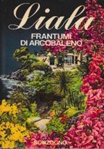 Frantumi Di Arcobaleno