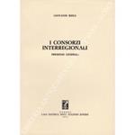 I consorzi interregionali. Premesse generali