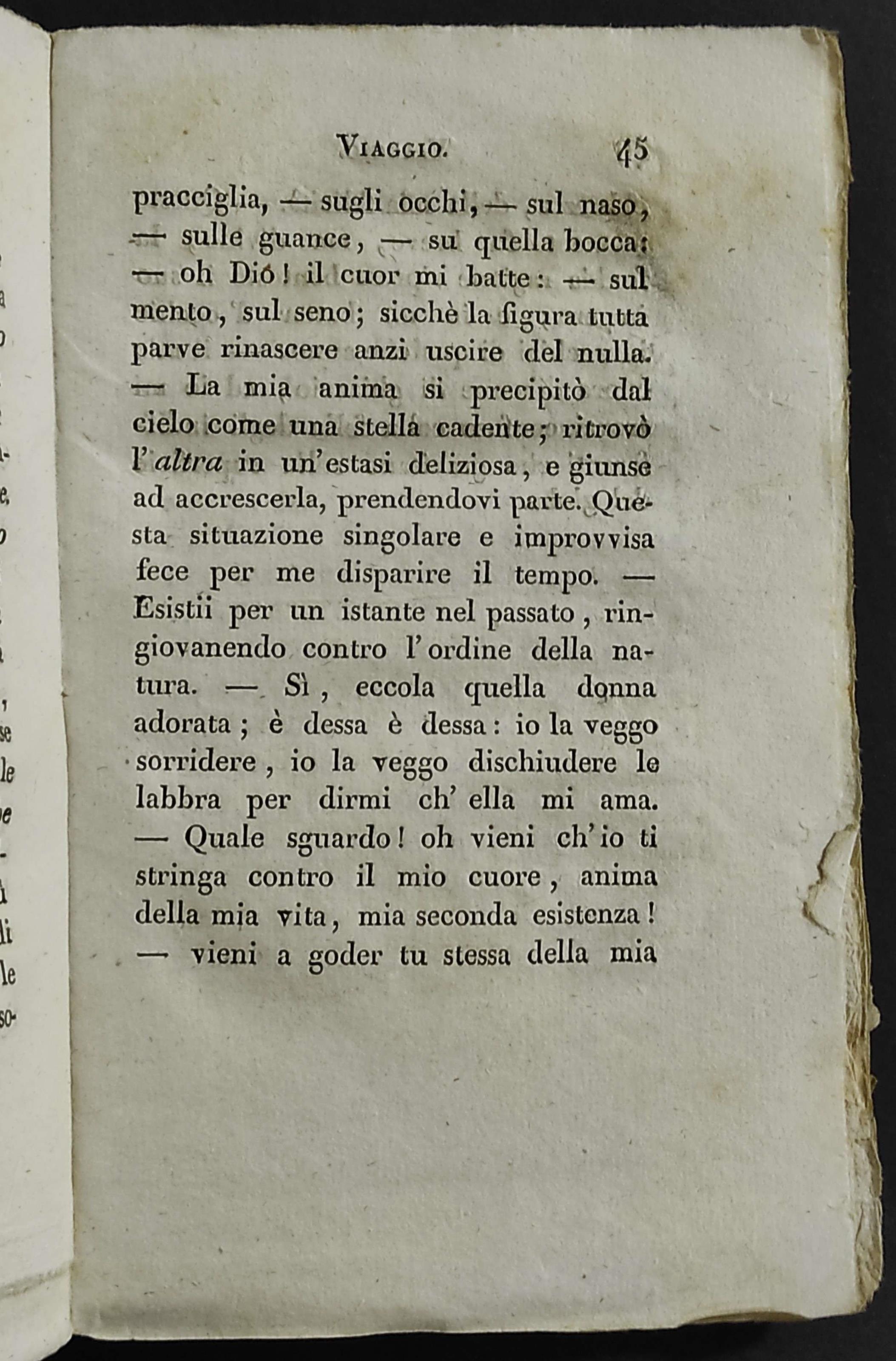 Viaggio Intorno alla Mia Camera