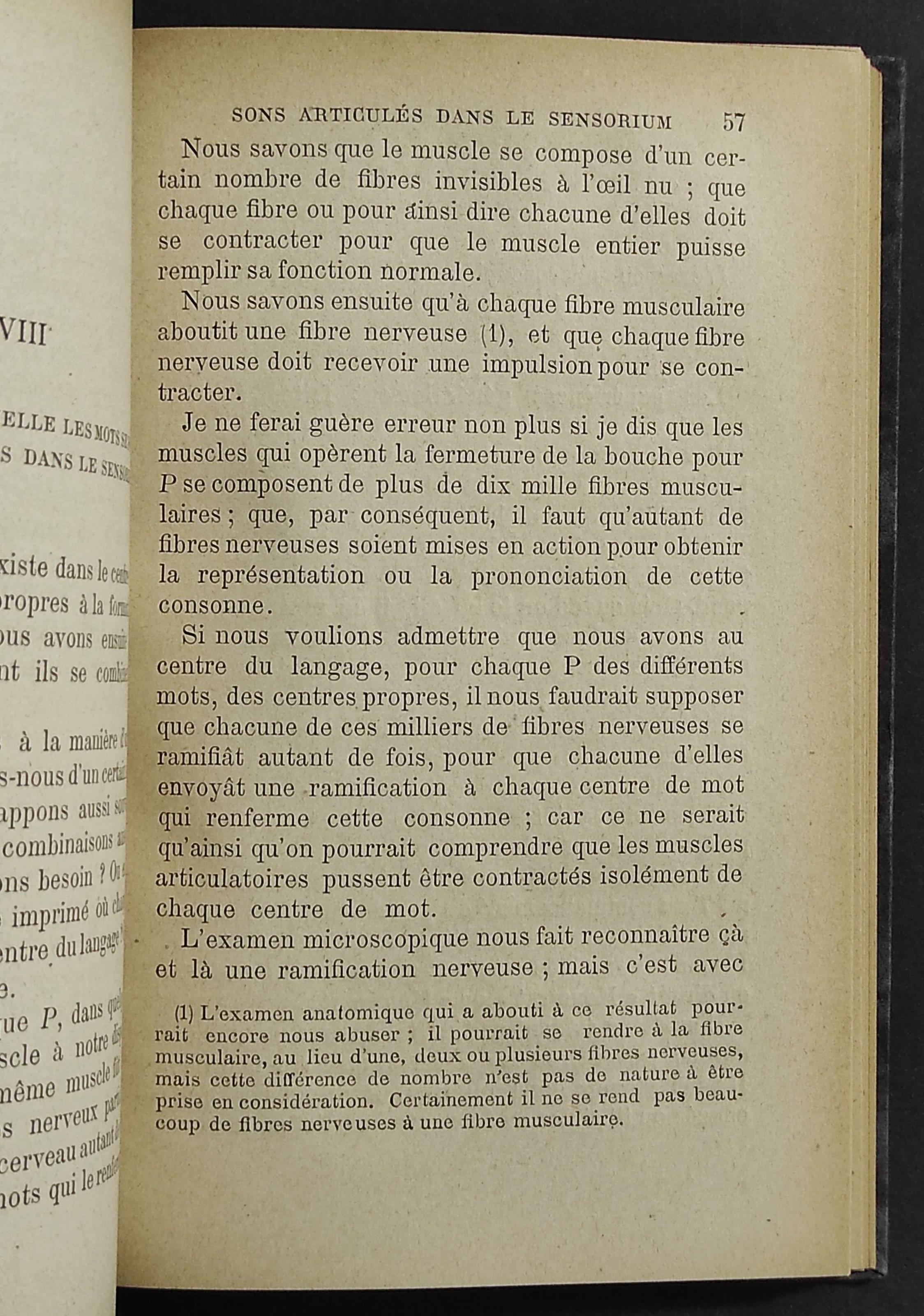 Du Langage et de La Musique