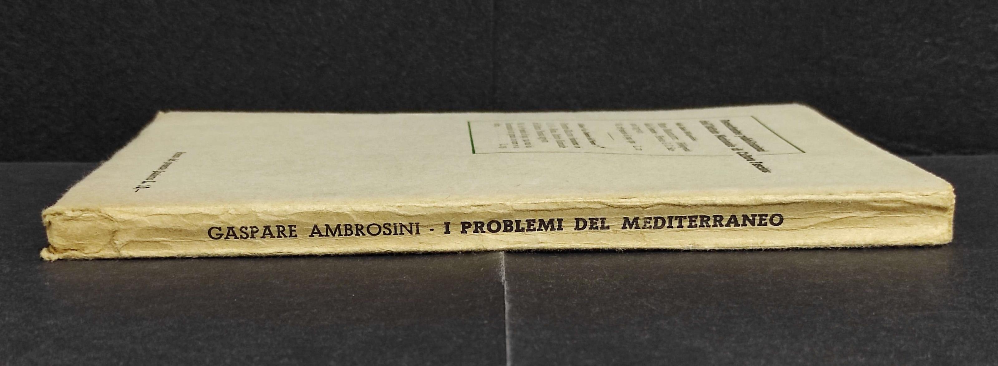 I Problemi del Mediterraneo