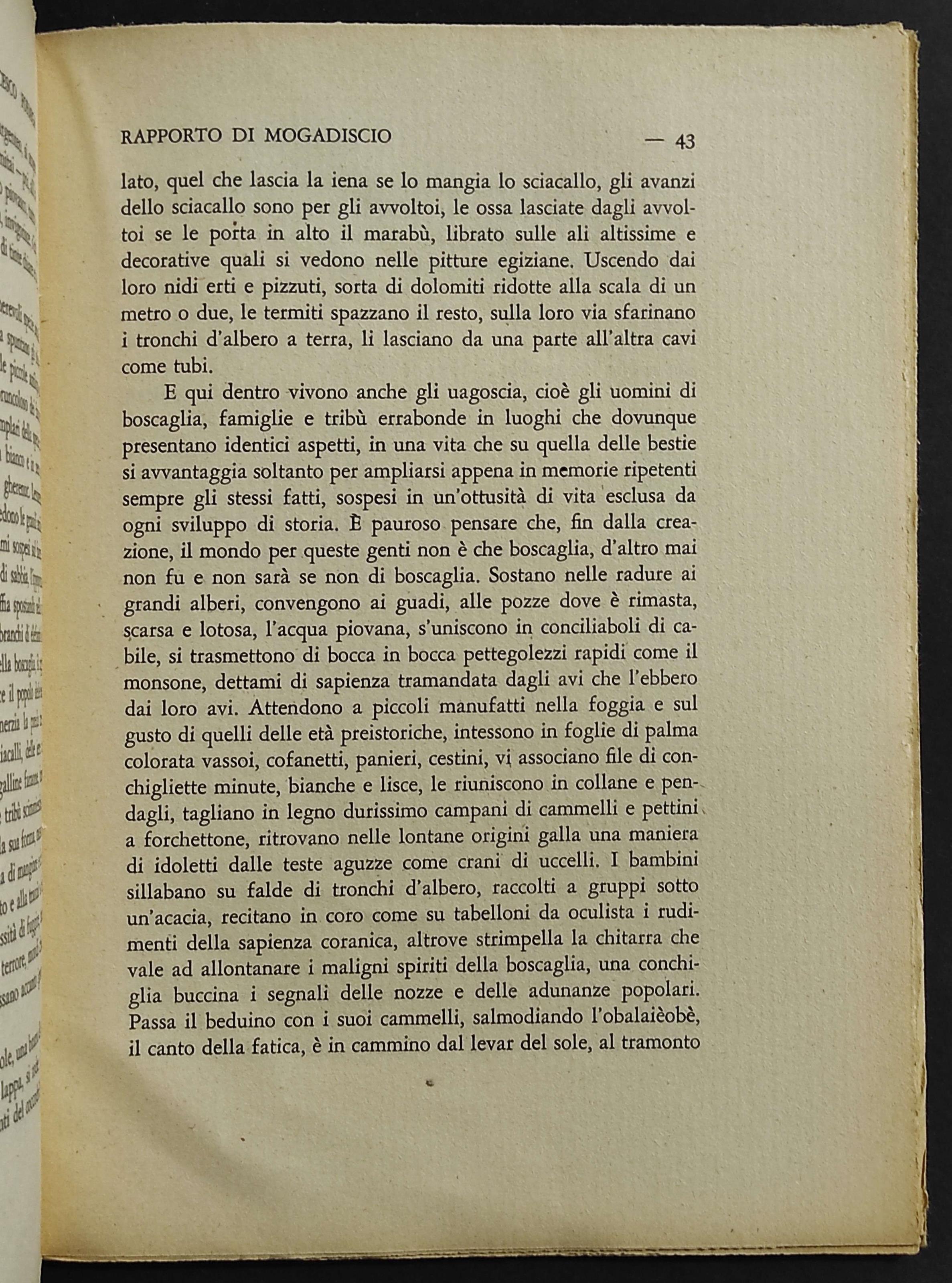 Rapporto di Mogadiscio