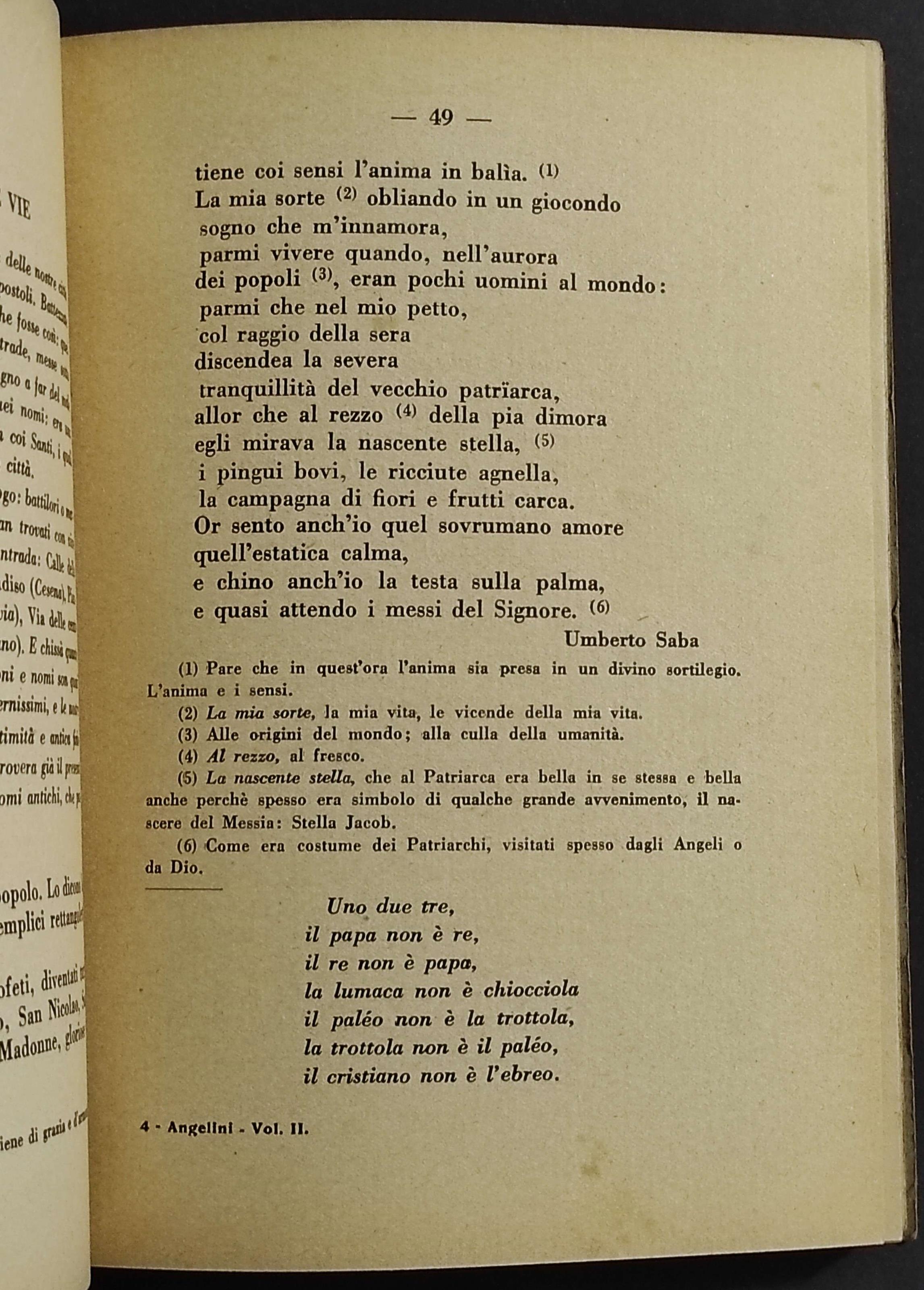 La Vite e i Tralci