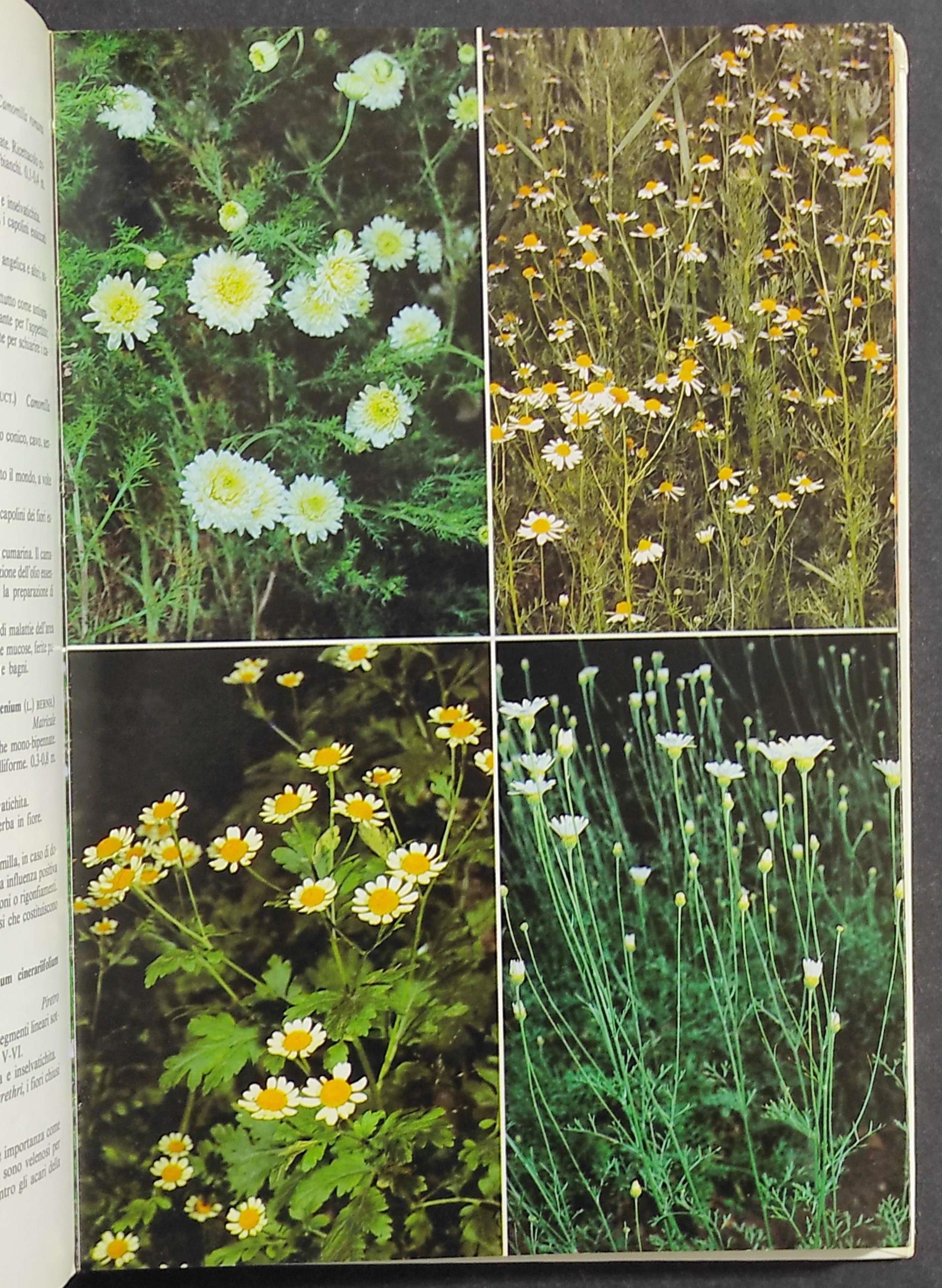 Atlante delle Piante Medicinali