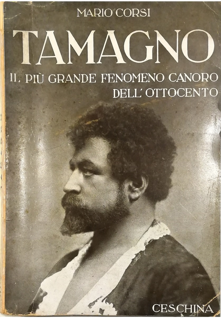 Libreria Tara