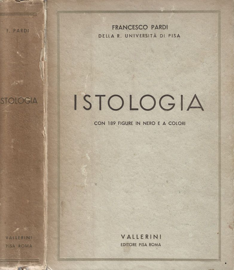 Biblioteca di Babele