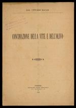 Concimazione della vite e dell'ulivo