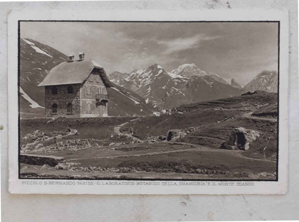 Studio bibliografico di Andrea Donati