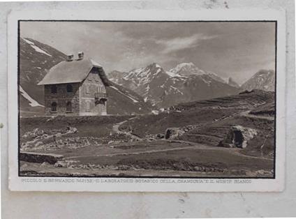 Il laboratorio botanico della Chanousia e il Monte Bianco. Piccolo S. Bernardo - Carolina - copertina