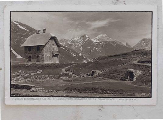 Il laboratorio botanico della Chanousia e il Monte Bianco. Piccolo S. Bernardo - Carolina - copertina