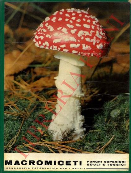 Macromiceti. Funghi superiori eduli e tossici. Iconografia fotografica per i medici - copertina