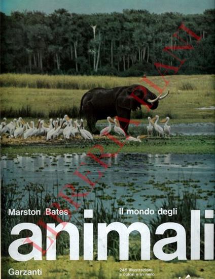 Il mondo degli animali - Marston Bates - copertina