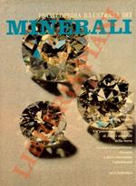 Enciclopedia illustrata dei minerali