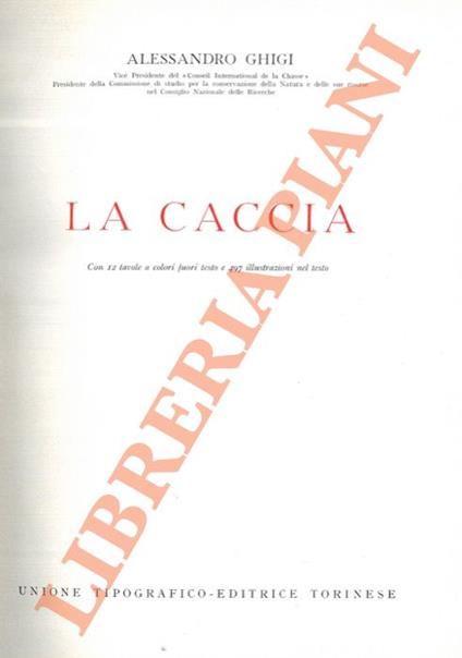 La caccia - Alessandro Ghigi - copertina