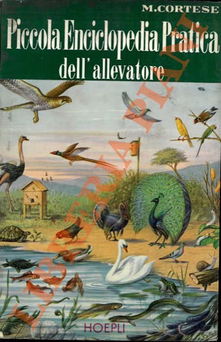 Sbinario nove e 3/4