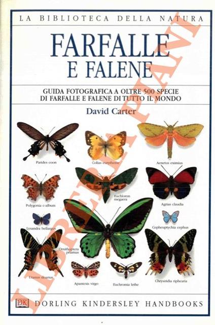 Farfalle e falene - David Carter - copertina