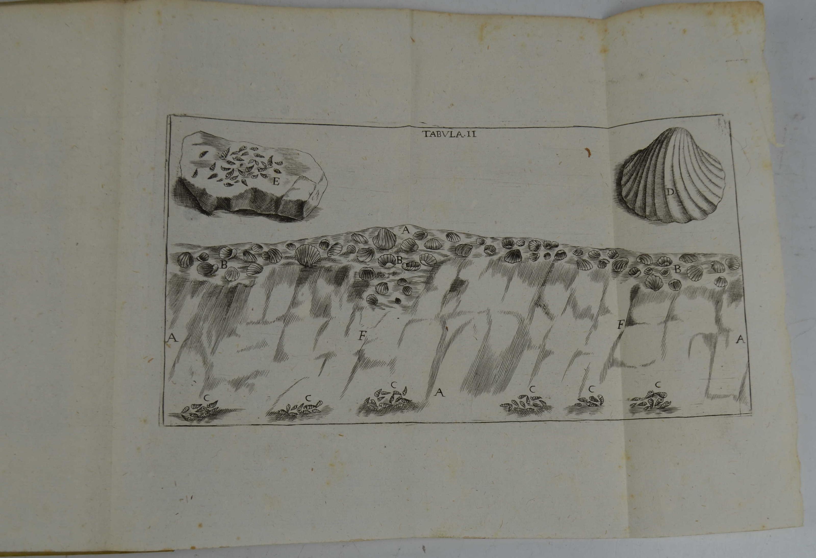 De' corpi marini che sù Monti si trovano; della loro origine e dello stato del Mondo avanti 'l Diluvio, nel Diluvio, e dopo il Diluvio: Lettere critiche…