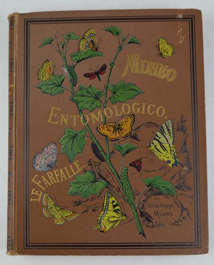 Le farfalle. Storia naturale, classificazione ed iconografia dei principali lepidotteri d'Italia e dei paesi circonvicini - Ferdinando Radaelli - copertina