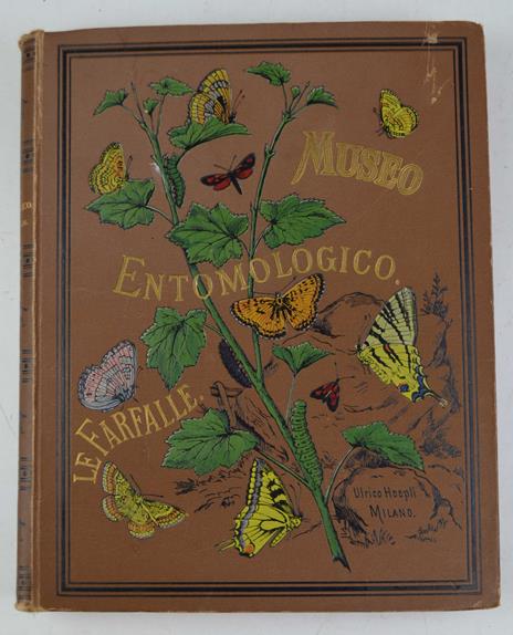 Le farfalle. Storia naturale, classificazione ed iconografia dei principali lepidotteri d'Italia e dei paesi circonvicini - Ferdinando Radaelli - copertina