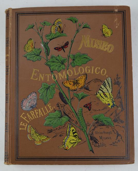 Le farfalle. Storia naturale, classificazione ed iconografia dei principali lepidotteri d'Italia e dei paesi circonvicini - Ferdinando Radaelli - copertina