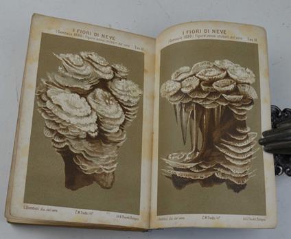 Scienza popolare… - copertina