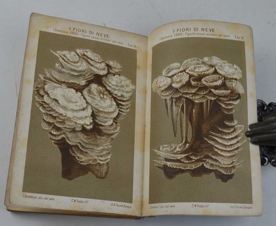 Scienza popolare… - copertina