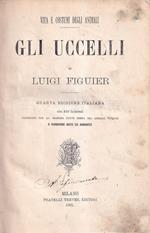 Gli Uccelli