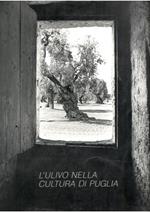 L' Ulivo Nella Cultura Di Puglia