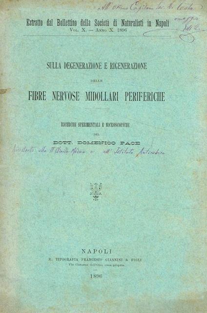 Sulla degenerazione e rigenerazione delle fibre nervose midollari periferiche - Domenica Pace - copertina