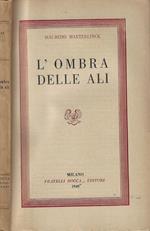 L' ombra delle ali