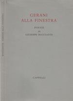 Gerani alla finestra