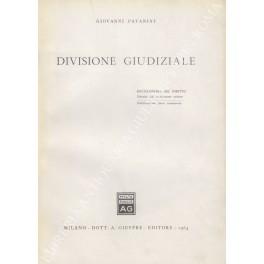 Divisione giudiziale - Giovanni Varini - copertina