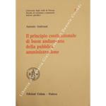 Il principio costituzionale di buon andamento della pubblica amministrazione