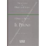 I diritti reali. Vol. V - Il pegno