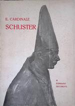 Il Cardinale Schuster Vol. I