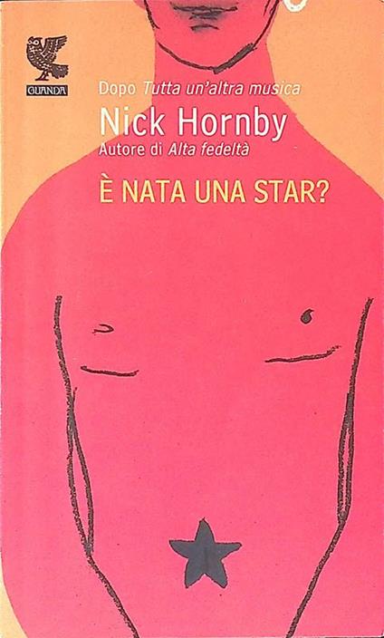 Nick Hornby. È nata una star? - copertina