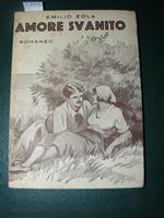 Amore svanito. Romanzo