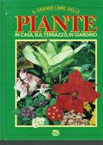 Il grande libro delle piante, in casa, sul terrazzo, in giardino