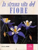 La strana vita del fiore
